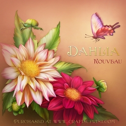 Dahlia Nouveau I