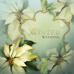 Winter Wedding I