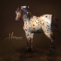 Horses