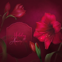 Holiday Amaryllis