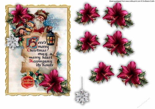 Quick Card Santa - Red Amarylis