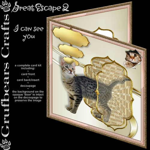 Great Escape 2 - I can see You