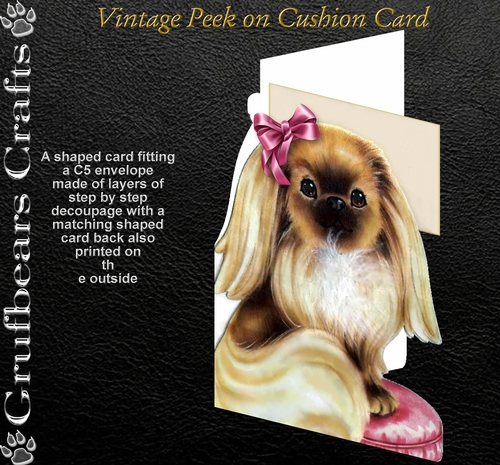 Vintage Peek on Cushion Card