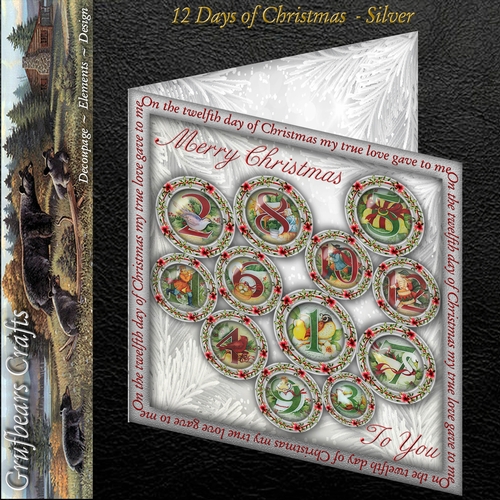 12 Days of Christmas - Silver