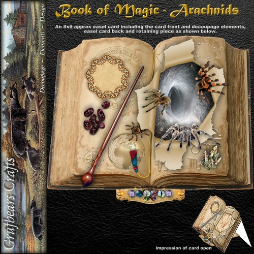 Book of Magic - Arachnids