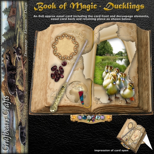 Book of Magic - Ducklings
