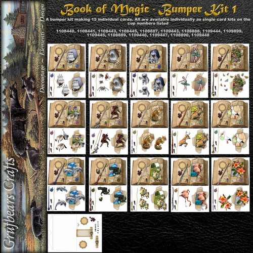 Book of Magic Bumper Kit 1