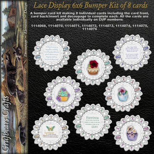 Lace Display 6x6 Bumper Kit