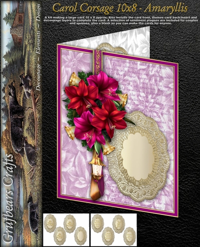 Carol Corsage 10x8 - Amaryllis