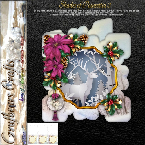 Shades of Poinsettia 3