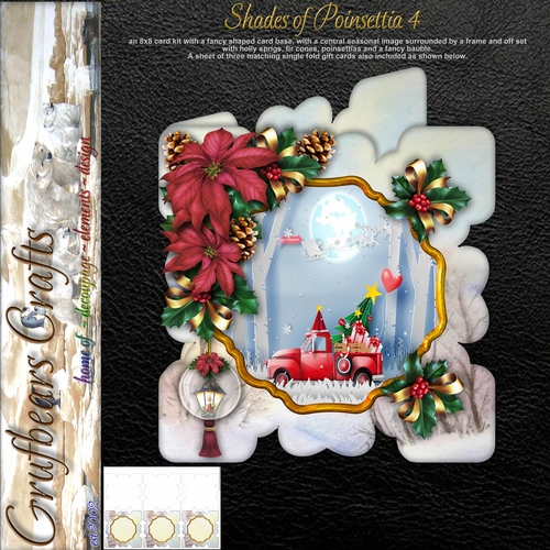 Shades of Poinsettia 4