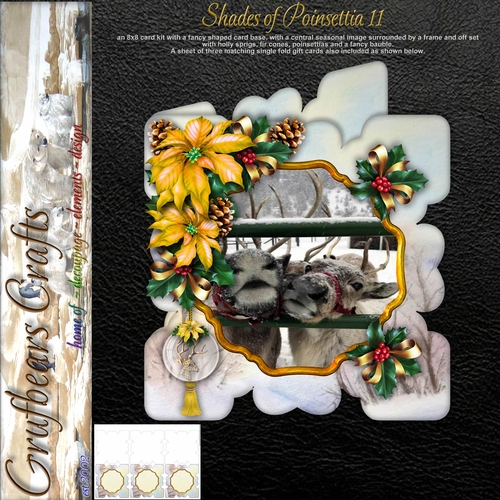Shades of Poinsettia 11
