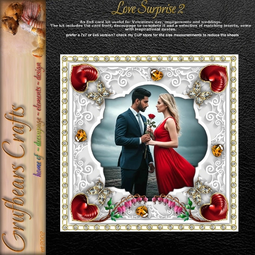 Love Surprise 2