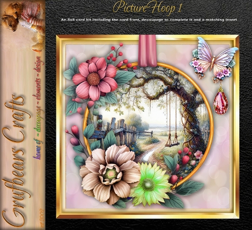 Picture Hoop 1