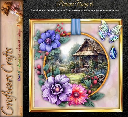 Picture Hoop 6