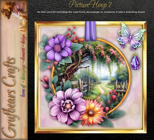 Picture Hoop 7