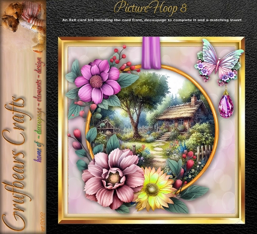 Picture Hoop 8