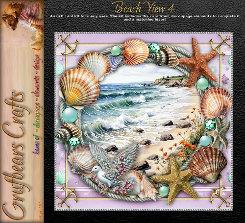 Beach View 4