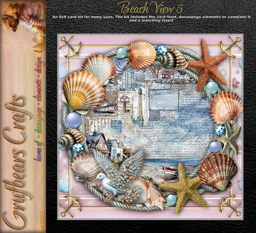 Beach View 5