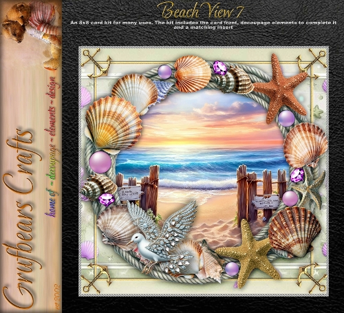 Beach View 7