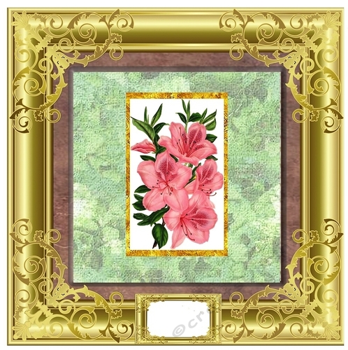 Lovely Flower Collection - Azalea