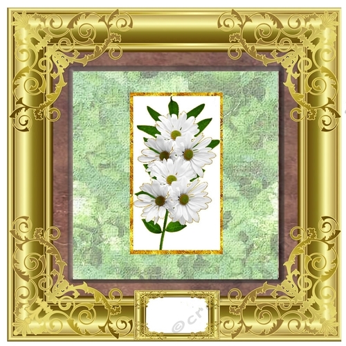 Lovely Flower Collection - Daisy