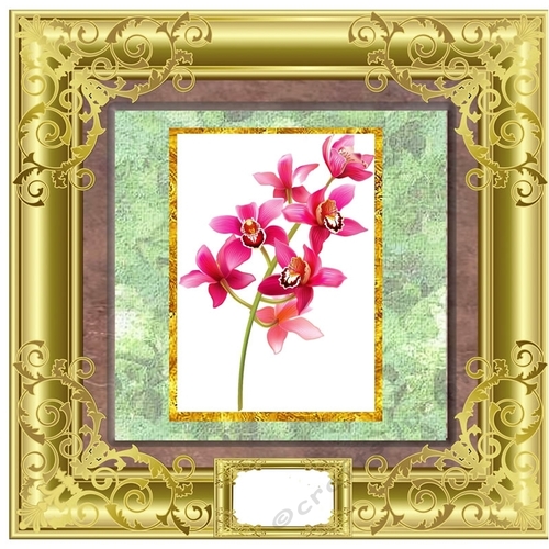Lovely Flower Collection - Orchid