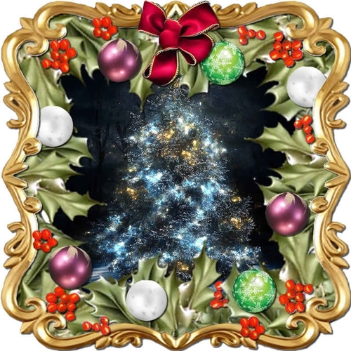 Through the Holly Bush 1
