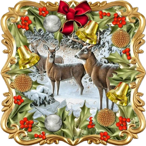 Through the Holly Bush 8