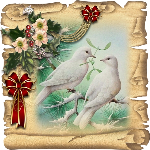 Christmas Birds 13