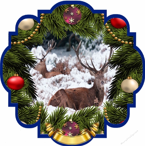 Through the Christmas Tree D1