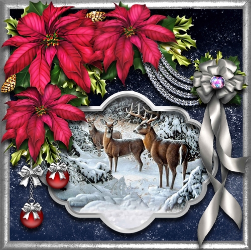 Starry Night Poinsettia Palette 1