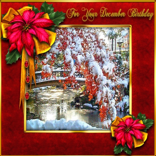 December Birthday 1
