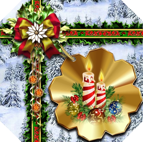 A Christmas Gift in White 16
