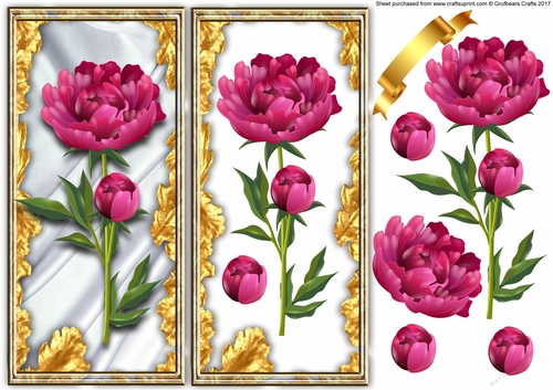 Flowers for all occaisions peony