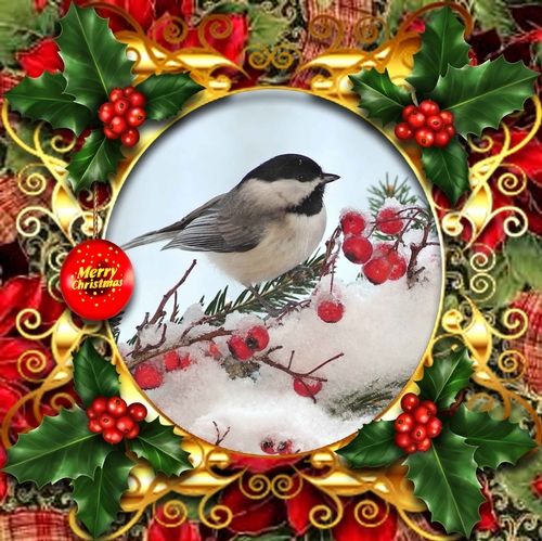 Last Minute Christmas 1