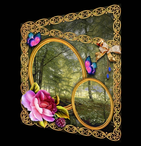 Woodland Walk 3