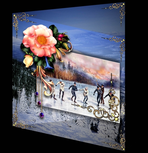 Winter Sports - The Race