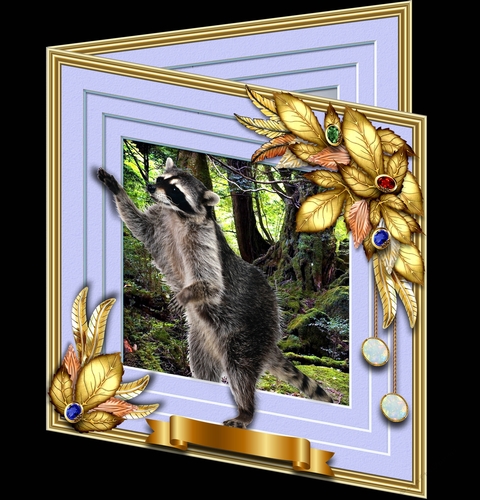 Wildlife Stepping Out - Raccoon