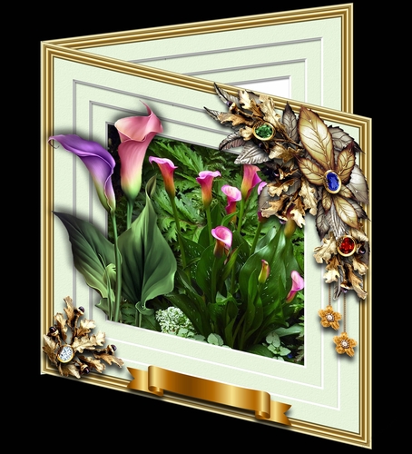 Blooms Bursting Out - Calla Lillies