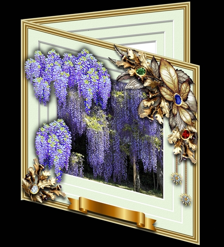 Blooms Bursting Out - Wisteria