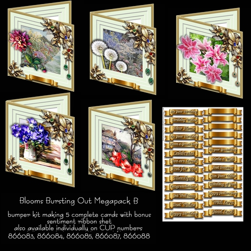 Blooms Bursting Out Megapack B