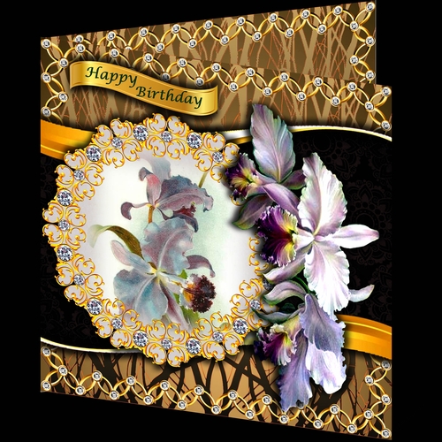 Bejewelled Blooms - Orchids