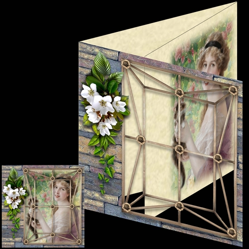 Picturesque Ladies 11