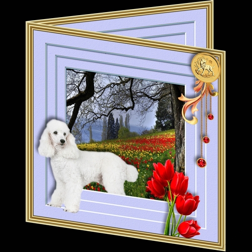 Stepping out Year of the Dog C