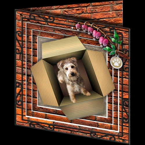 Stepping Out - More Dogs 1