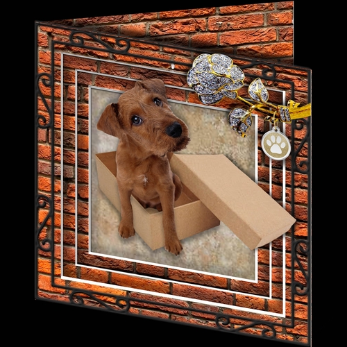 Stepping Out - More Dogs 2
