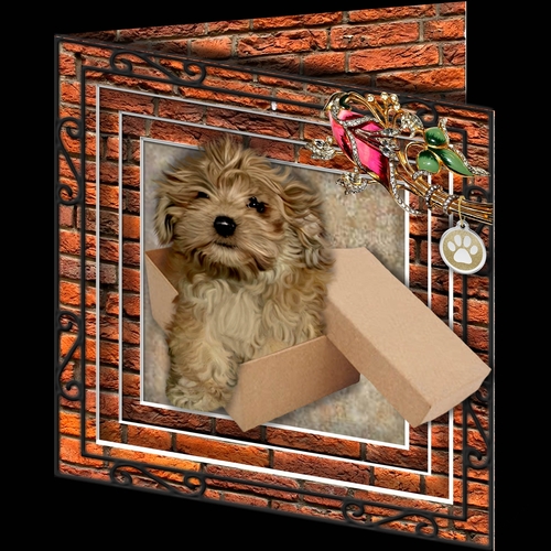 Stepping Out - More Dogs 3