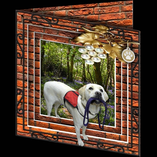 Stepping Out - More Dogs 5