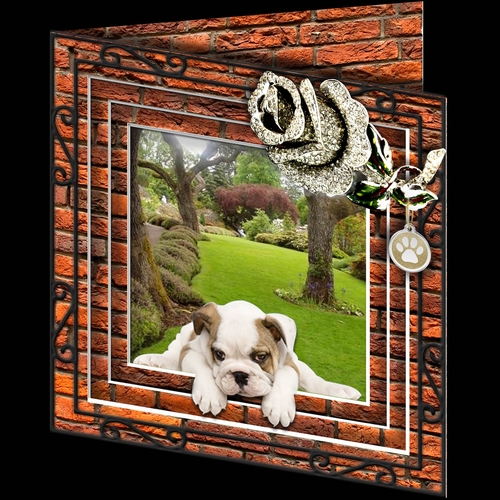 Stepping Out - More Dogs 7